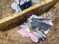 -众品蒸汽石锅坊