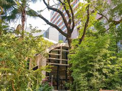 -香港大学