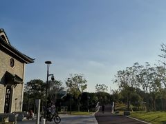 -王借岗森林公园