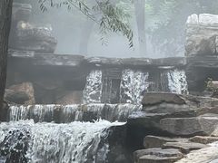 -北京西山国家森林公园