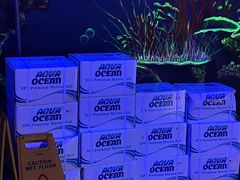 -海合安武汉极地海洋公园