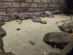-zoonana室内动物园(东方福来德店)