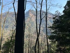 -青城山