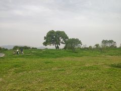 -良渚文化村