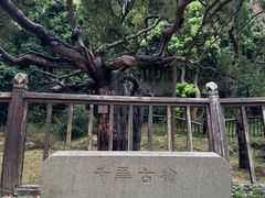 -草庵摩尼教遗址公园
