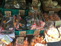 -城崎温泉 外七汤