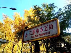 -三里屯东五街银杏大道