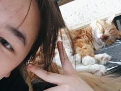 -平行世界·猫咖(首经贸店)