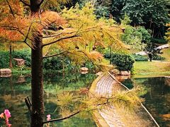 -云溪植物园