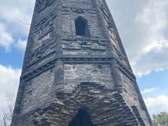 -上海佘山国家森林公园天马山园