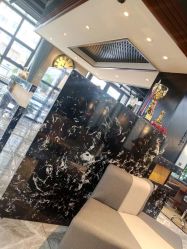 -Z.X HAIR SALON张新美业