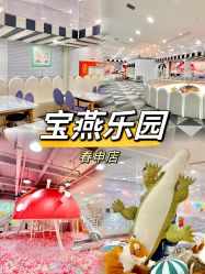 -宝燕乐园(春申店)