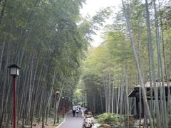 -穹窿山景区
