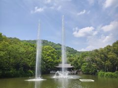 -古隆中景区