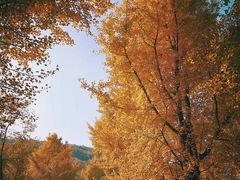 -虞山风景区