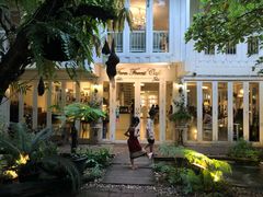 -Fern Forest Cafe