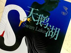 -北京大学百年讲堂
