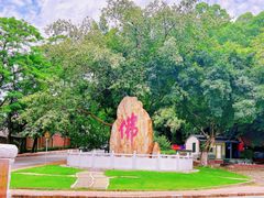 -南国桃园旅游度假区