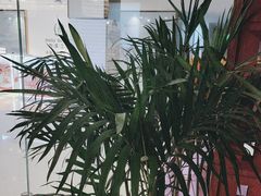 -LANN I 蘭·泰式古法按摩(高岛屋百货店)