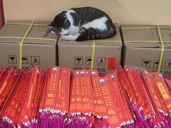 -龙华素斋(龙华路店)