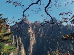 -黄山风景区