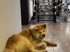 -YCHL Studios健身工作室(市二宫店)