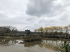 -天适樱花悠乐园