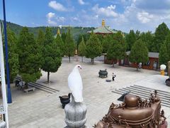 -龙口南山旅游景区