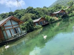 -杭州开元森泊度假乐园