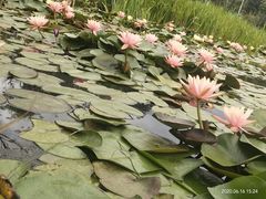 -清溪水库