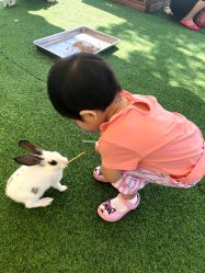 -萌宠亲子动物乐园(槐房万达店)