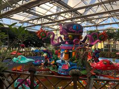 -南宫五洲植物乐园