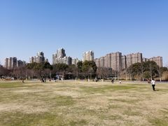 -青枫公园