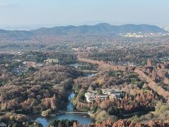 -九曜山