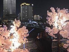 -武汉两江游览·夜游长江(汉口粤汉码头)