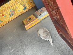 -长春观