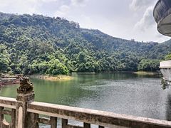 -鼎湖山风景区