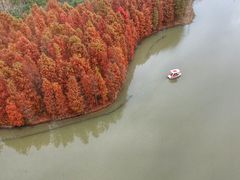 -上海海湾国家森林公园