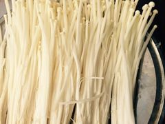 金针菇-月圆火锅(宁海东路二店)