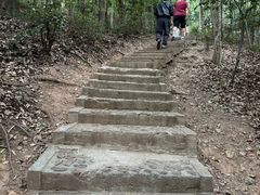 -上海佘山国家森林公园天马山园