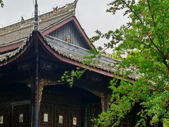 -桂湖森林公园