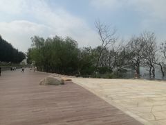 -宝安西湾红树林湿地公园