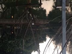 御花园酒店(中山公园店)-御花园·粤菜·海鲜火锅(中山公园店)