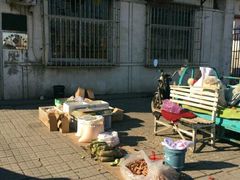 -大韩庄韩氏祖传正骨