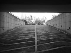 -野马渡文体中心游泳·健身