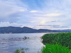 -大理洱海