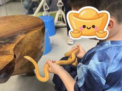-上海大自然野生昆虫馆(东方明珠·爬宠昆虫探索中心)