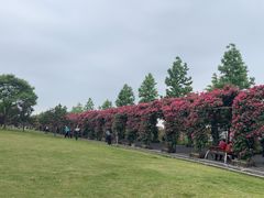 -广富林郊野公园
