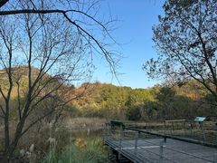 -西湖风景区-江洋畈生态公园