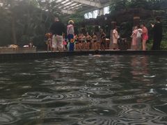 -龙达温泉生态城